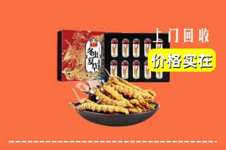 和政县回收冬虫夏草